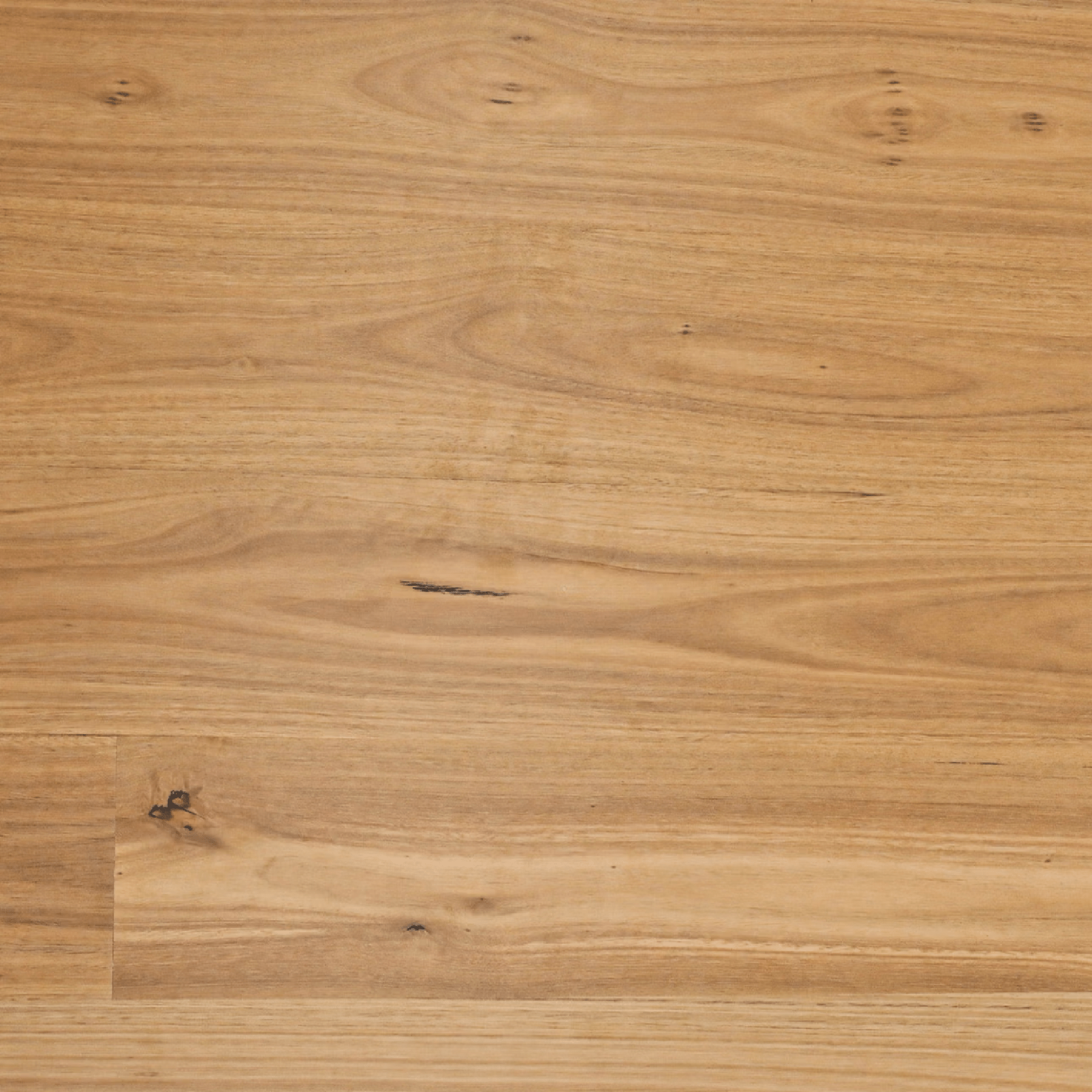 SUNSTAR - Australian Hardwood Naturals Range Flooring HB204 Blackbutt - Flooring - from our - Sunstar - supplier–available at Bathroom City Perth
