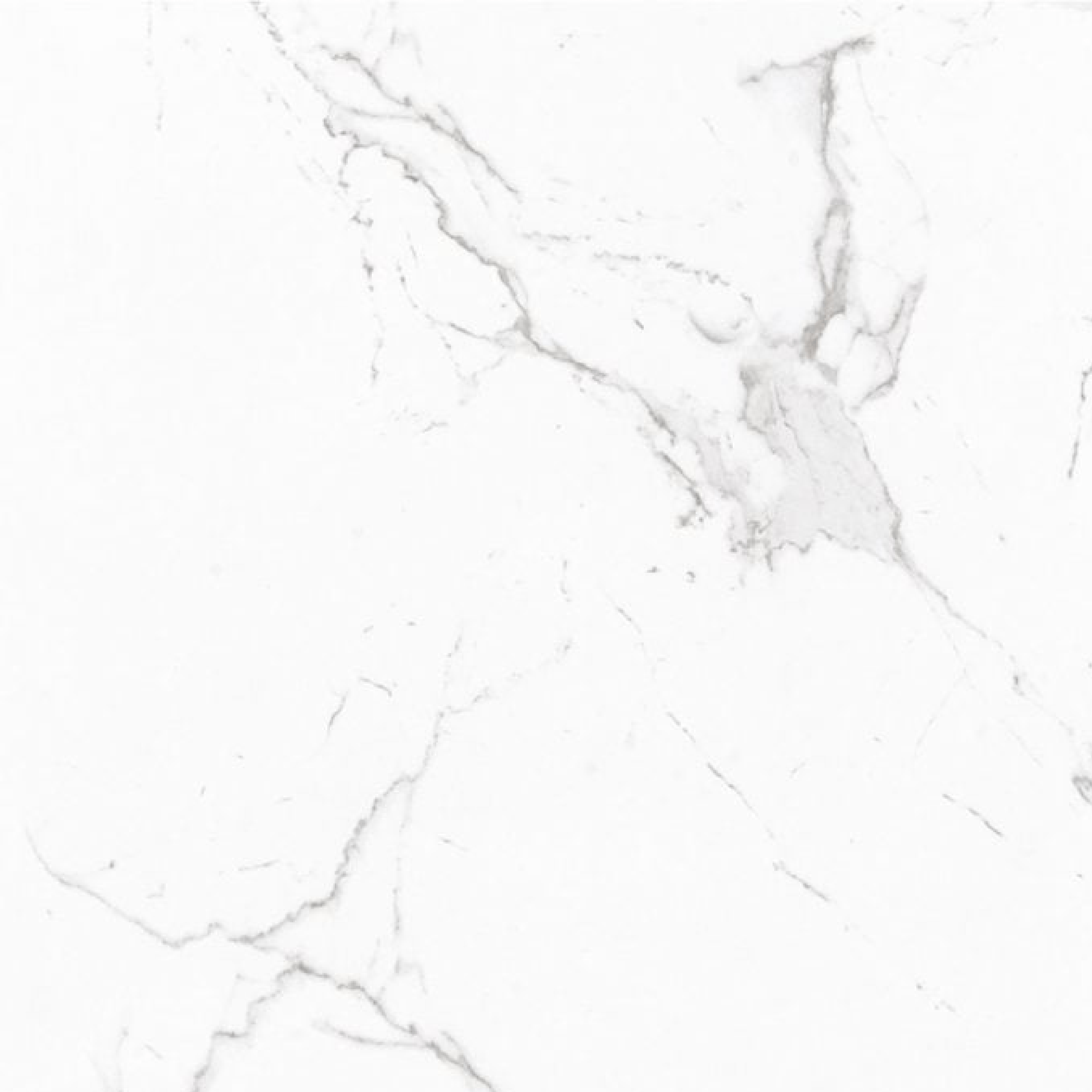 SW - Veneto Carrara 600x600mm Matt - Tiles - from our - Stoneworld - supplier–available at Bathroom City Perth