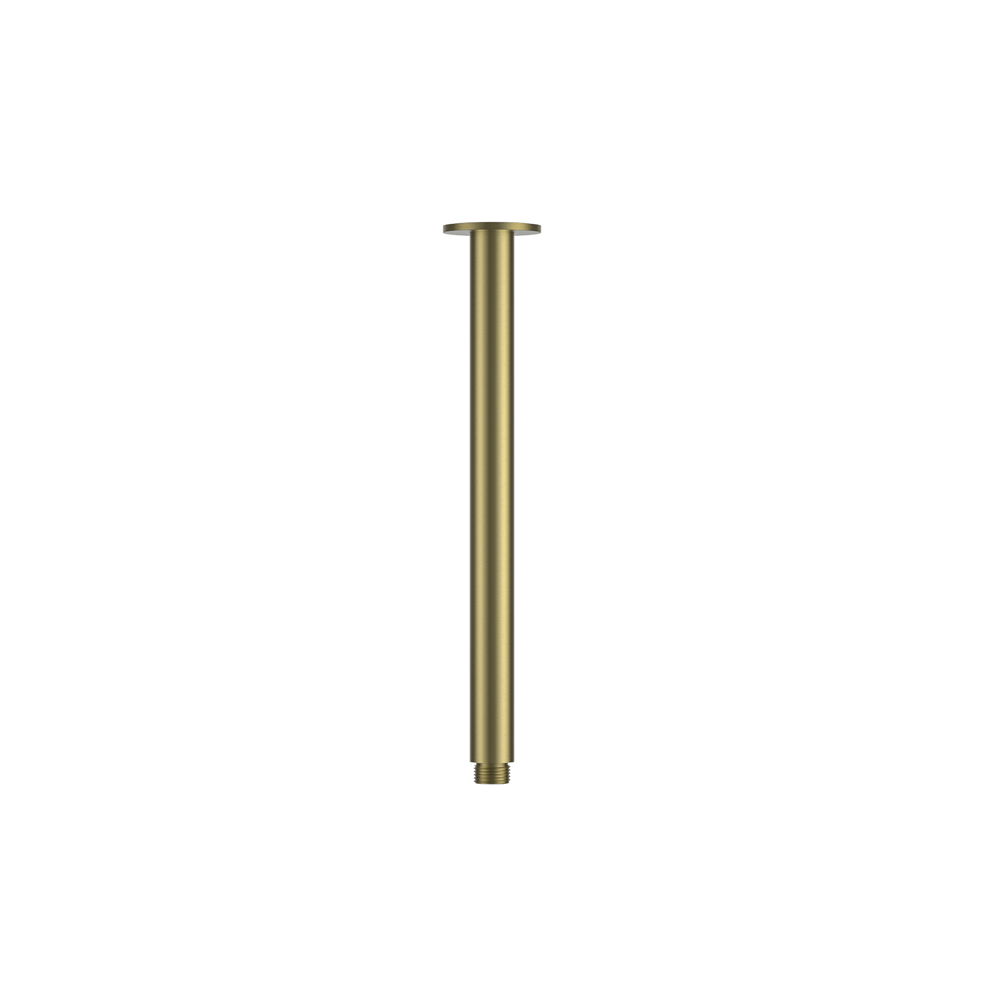 MELA - PALCO/RONDO Ceiling Arm Brushed Brass Tapware from our MELA supplier – available at Bathroom City Perth