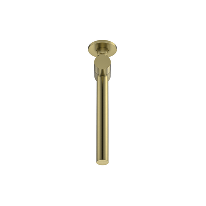 MELA - RONDO Swivel Wall Spout Brushed BrassTapware – available at Bathroom City Perth
