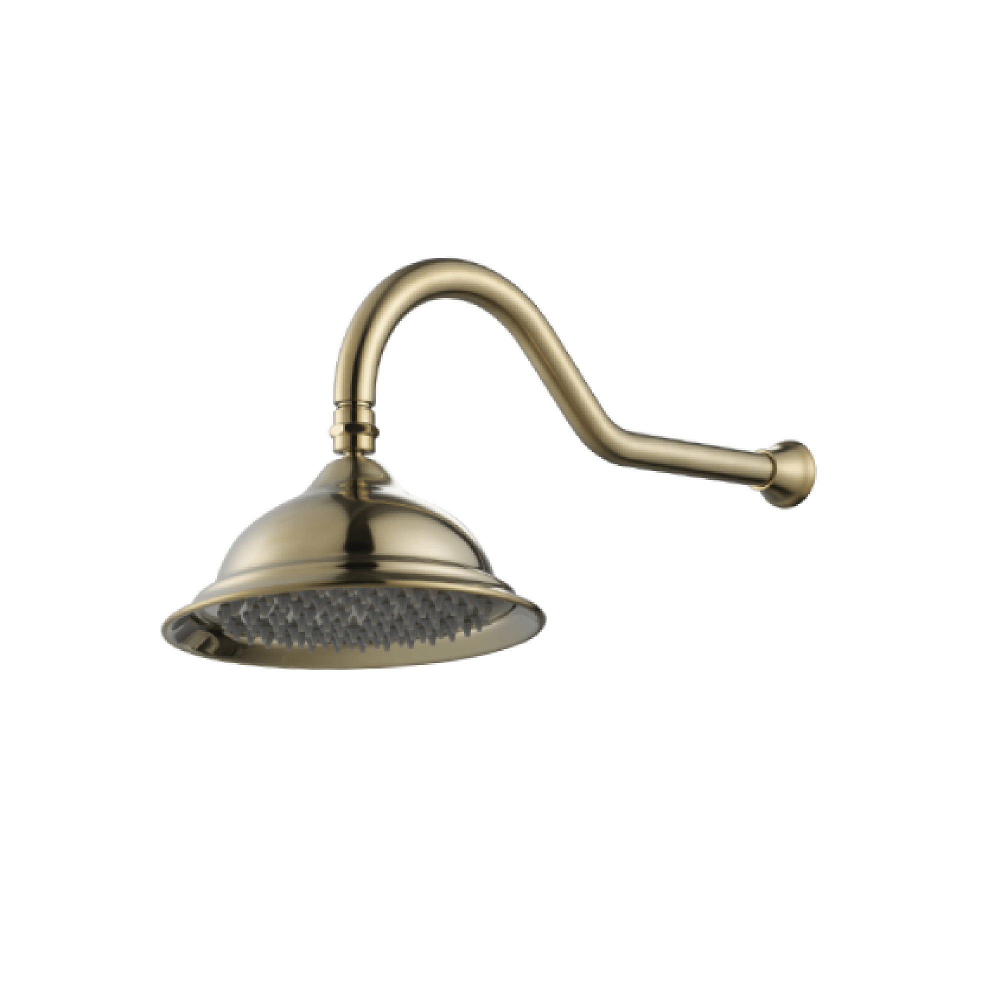 MODERN NATIONAL - BORDEAUX Shower Arm with Shower Head Brushed Bronze - Tapware - from our - Modern National - supplier–available at Bathroom City Perth