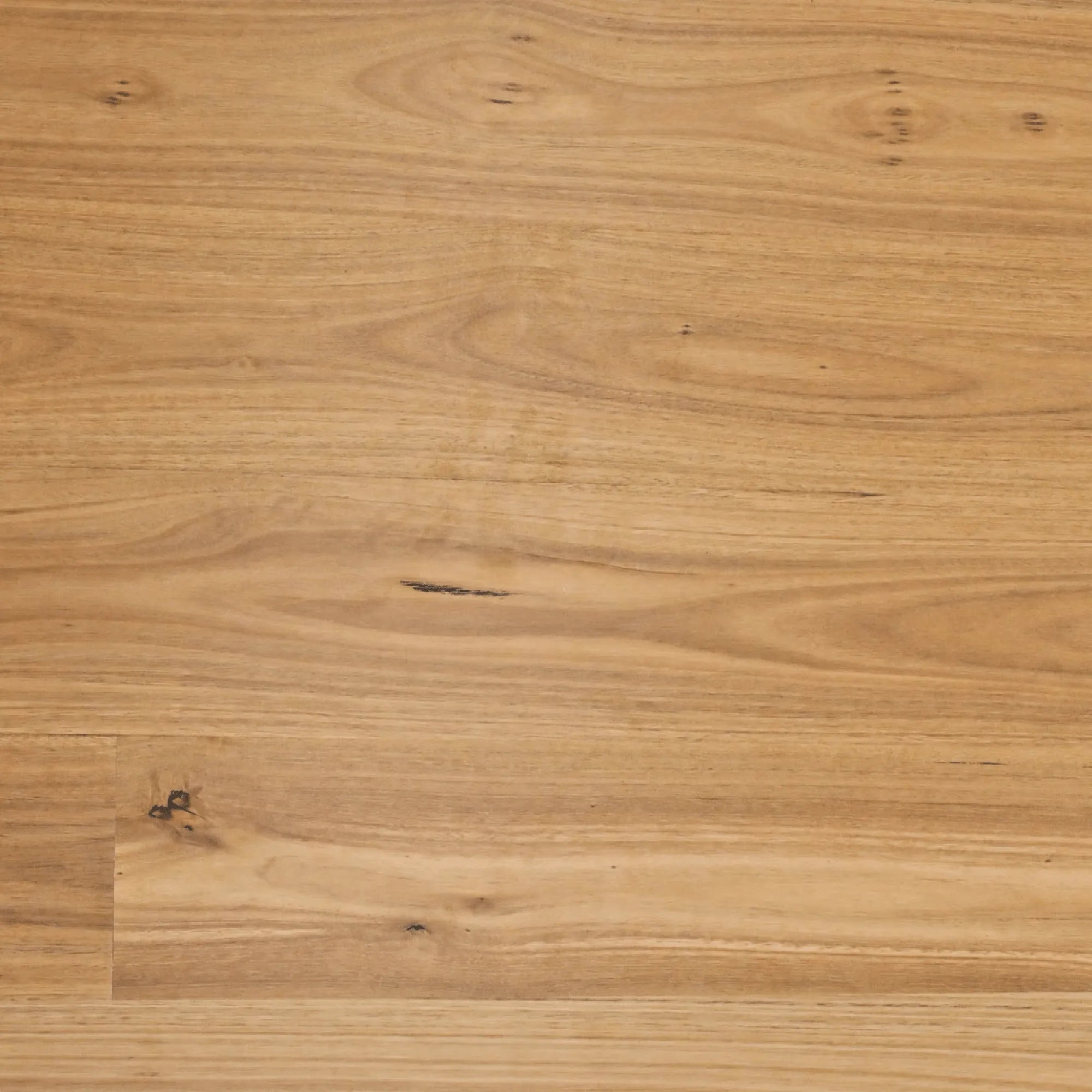 SUNSTAR - Australian Hardwood Naturals Range Flooring HB204 Blackbutt-Flooring-from our-Sunstar-supplier–available at Bathroom City Perth