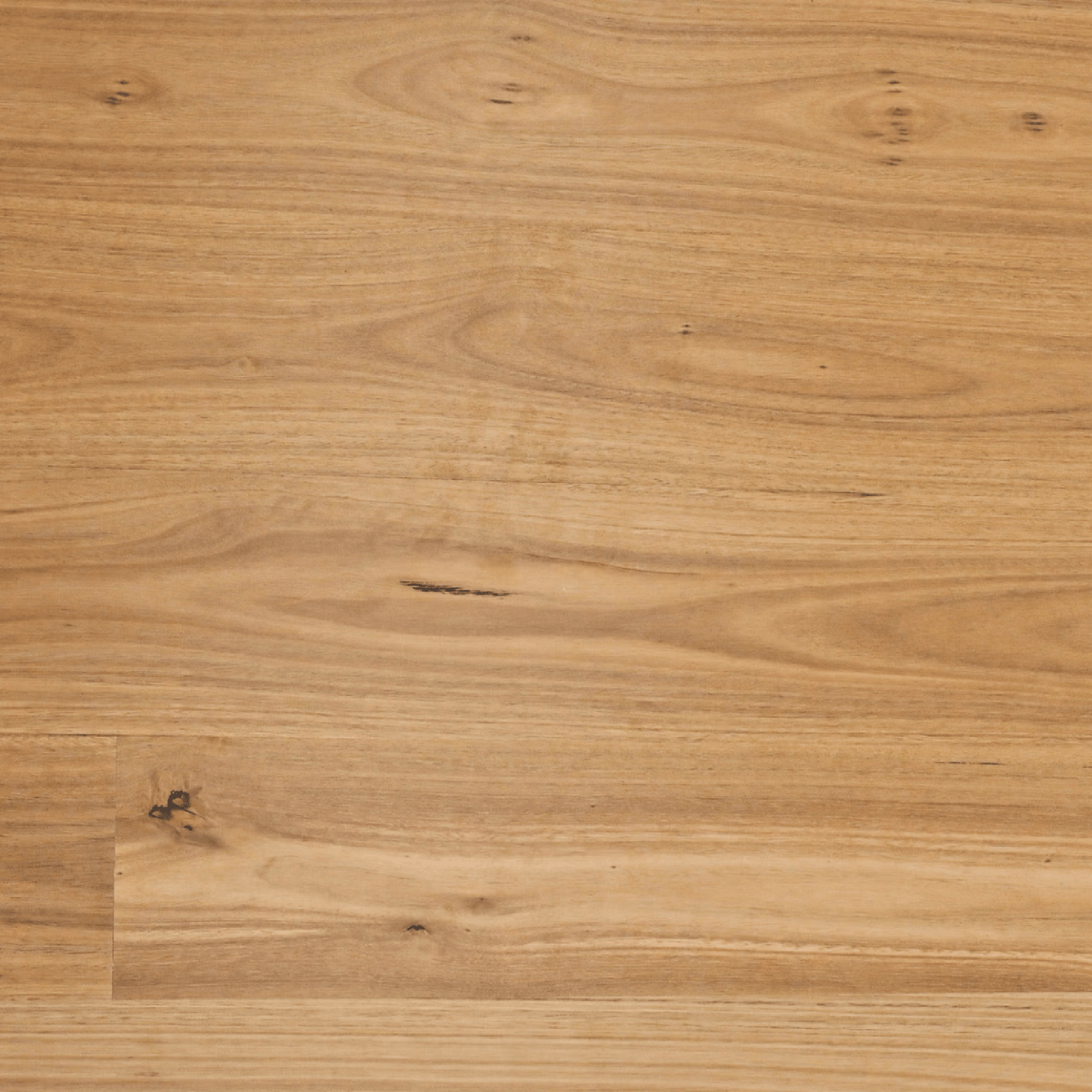 SUNSTAR - Australian Hardwood Naturals Range Flooring HB204 Blackbutt - Flooring - from our - Sunstar - supplier–available at Bathroom City Perth