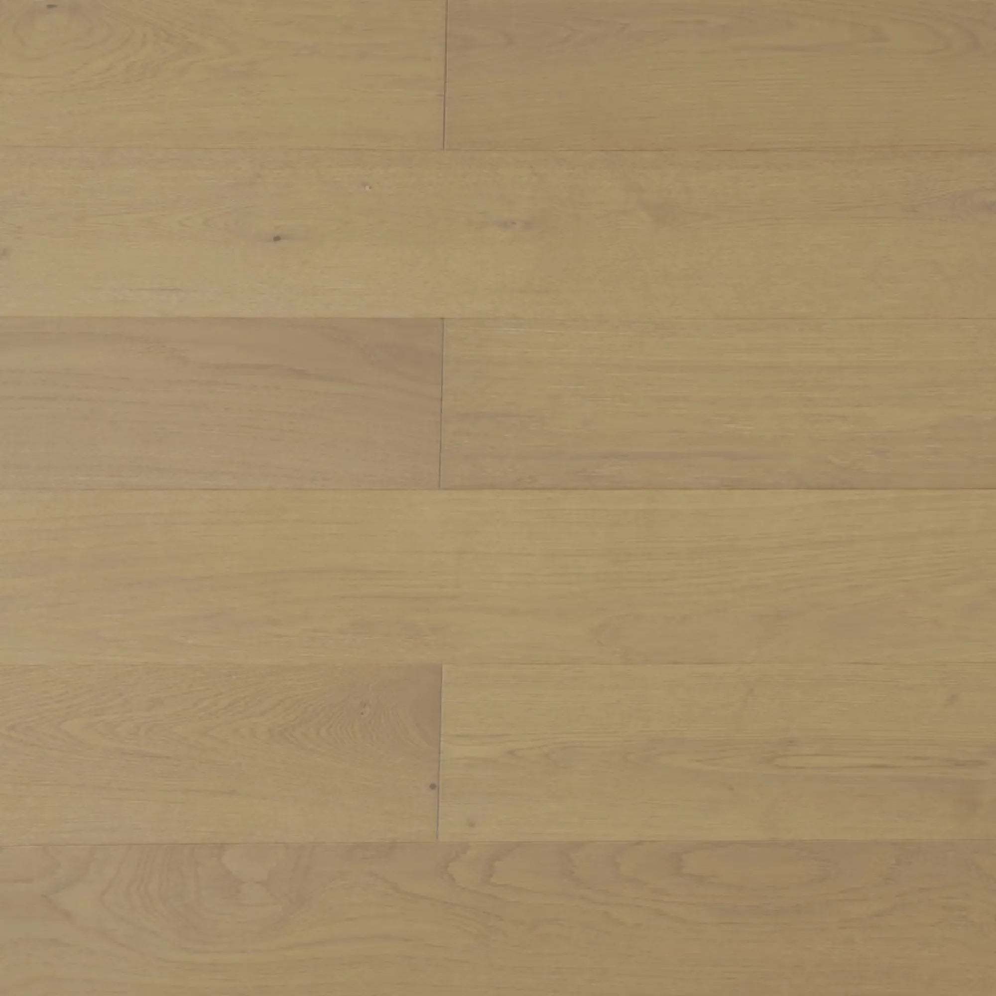 SUNSTAR - Oak Classics Flooring HW022 Tomki-Flooring-from our-Sunstar-supplier–available at Bathroom City Perth