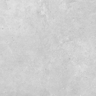 SW - Paradigm Light Grey 300x600mm Matt