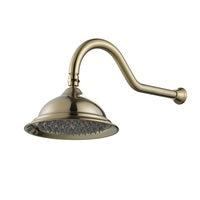 Modern National - Bordeaux Shower Arm with Shower Head Brushed Brass